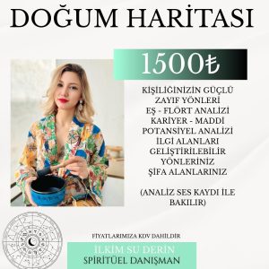 DOĞUM HARİTASI ANALİZİ